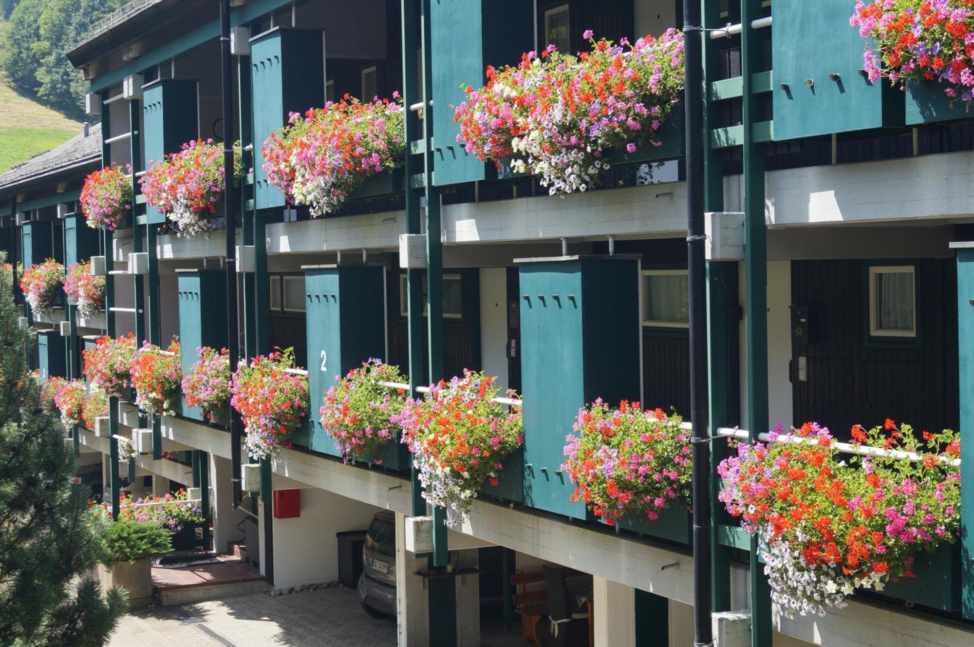 Terrassenpark Apartments Засбахвальден Экстерьер фото